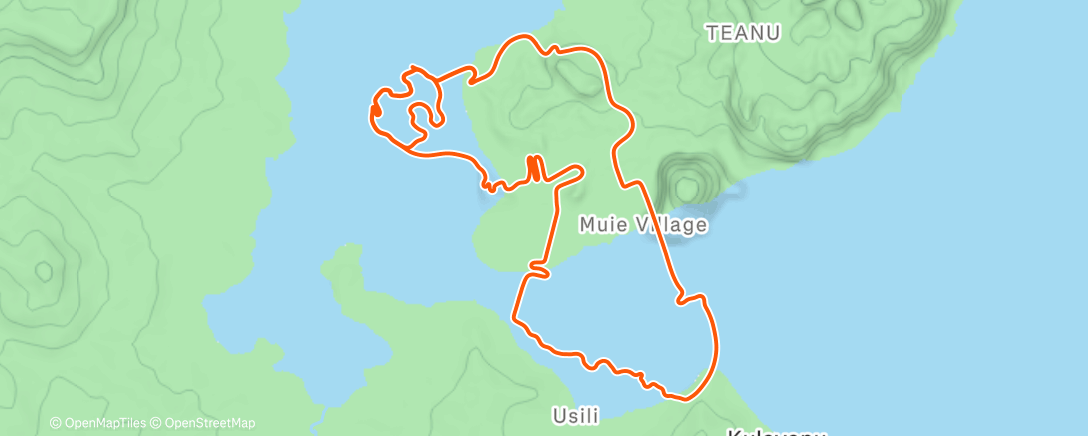 Карта физической активности (Zwift - Tungoljetrening... on Ocean Lava Cliffside Loop in Watopia)