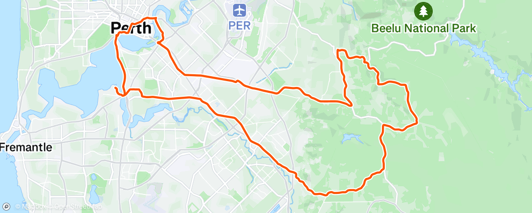 Mapa de la actividad (🦢)