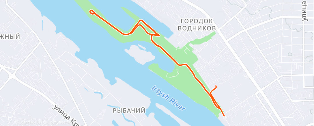 Карта физической активности (Утренний забег)