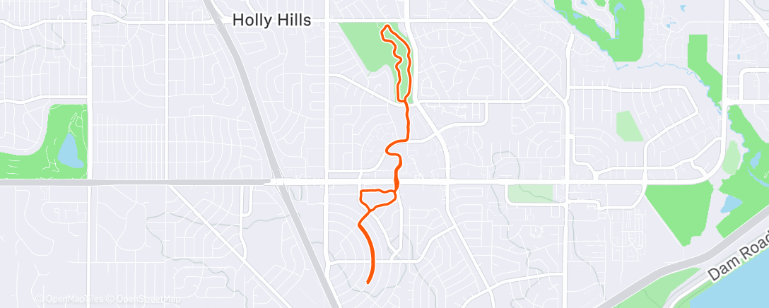 Карта физической активности (Afternoon Run)