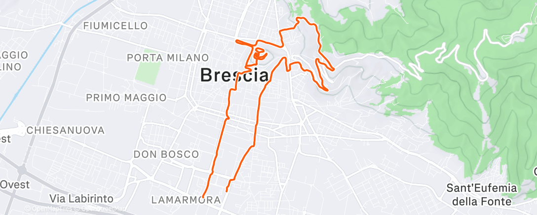 Map of the activity, Thursday Morning Run