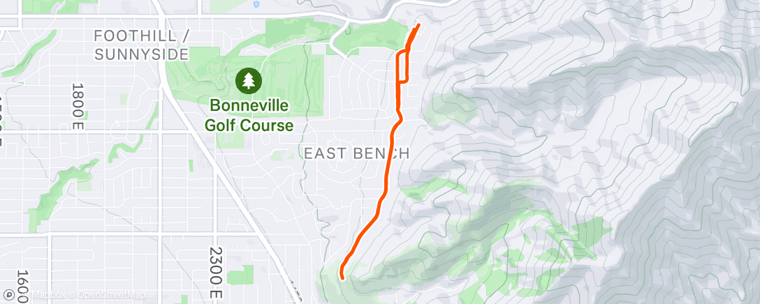 Map of the activity, Morning Run
