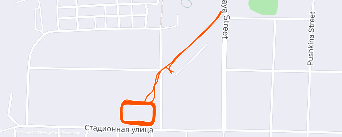 Карта физической активности (Вечерний забег)