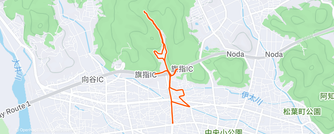 Map of the activity, Afternoon Run