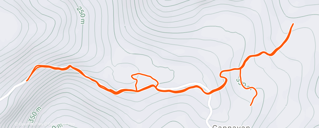 Карта физической активности (Afternoon Trail Run)