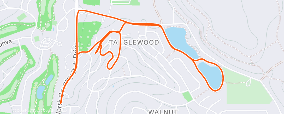 Mappa dell'attività Morning Run