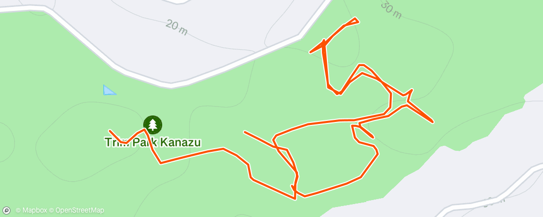 Map of the activity, Morning Run