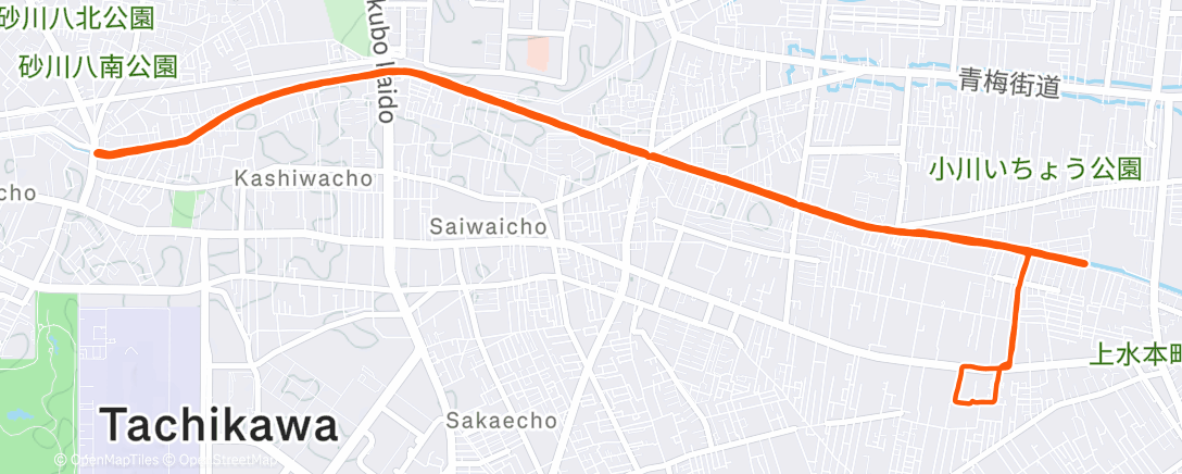 Map of the activity, Morning Run