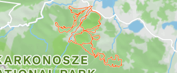 Olbrzymy