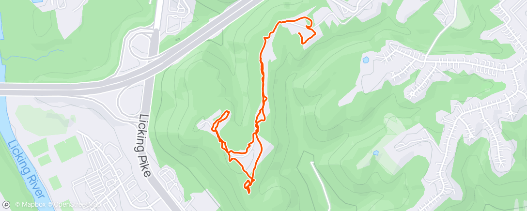 Mapa da atividade, Pup's on a hike and our first 🐢