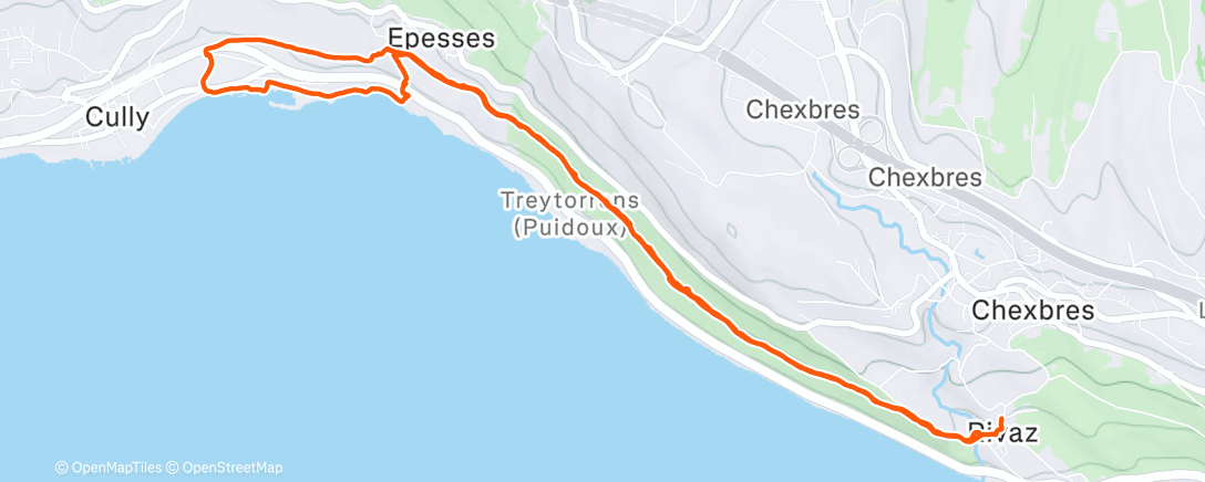 Mappa dell'attività Afternoon Run