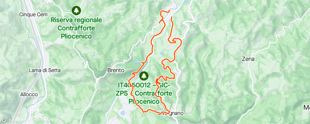 Map of the activity, Giro tra le ortiche