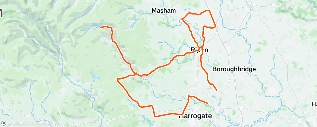 Map of the activity, Morning survival