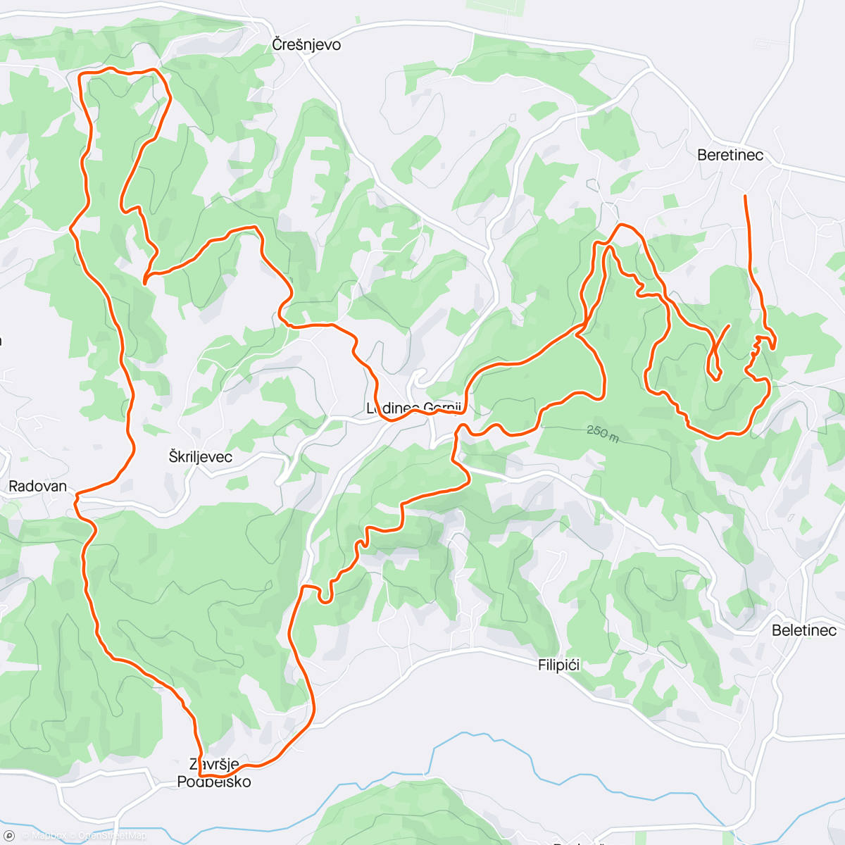 アクティビティ「Bodlja 2024」の地図