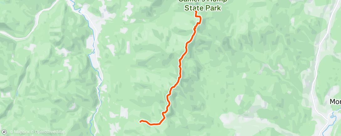 Map of the activity, Morning Hike
