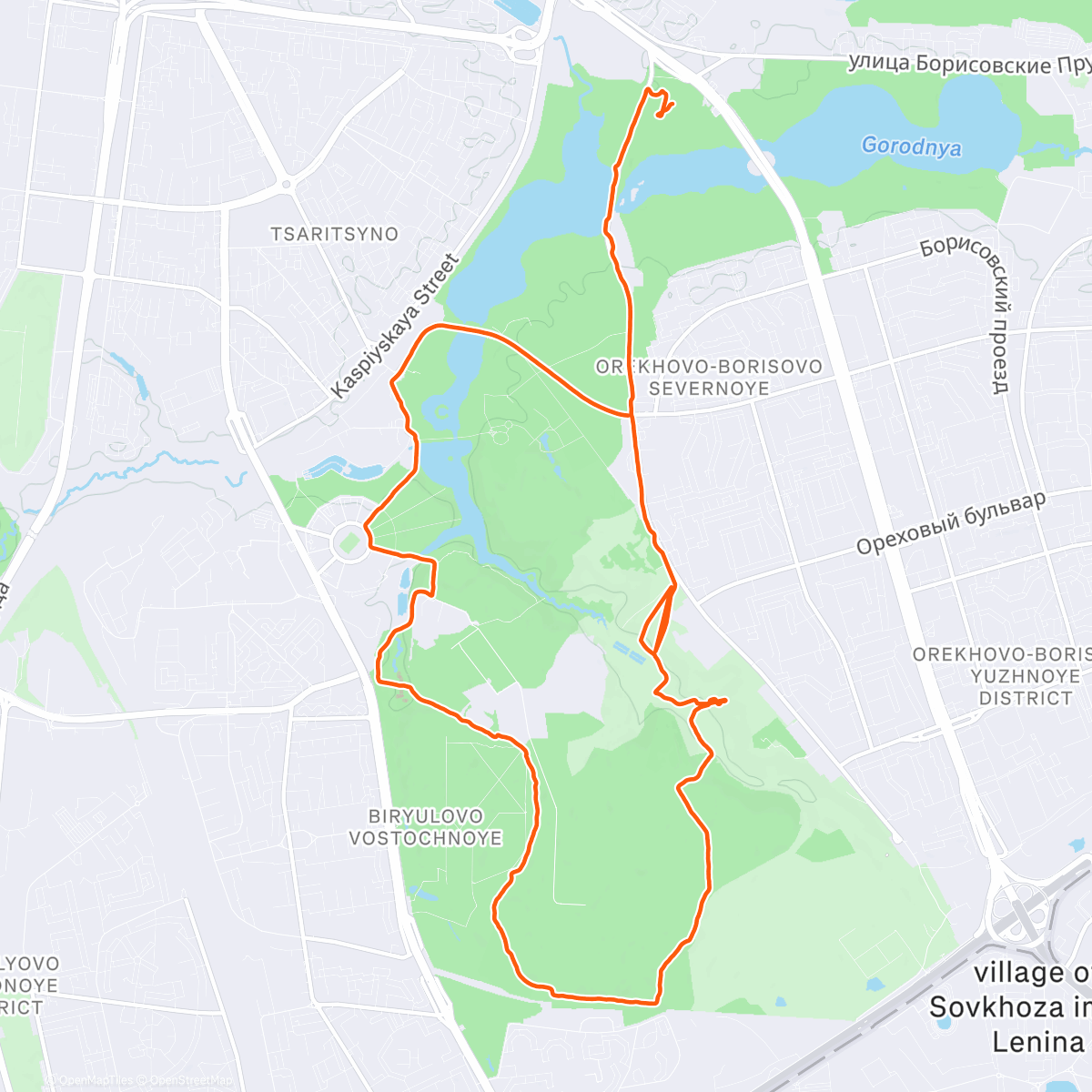 Карта физической активности (through the infinite darkness)