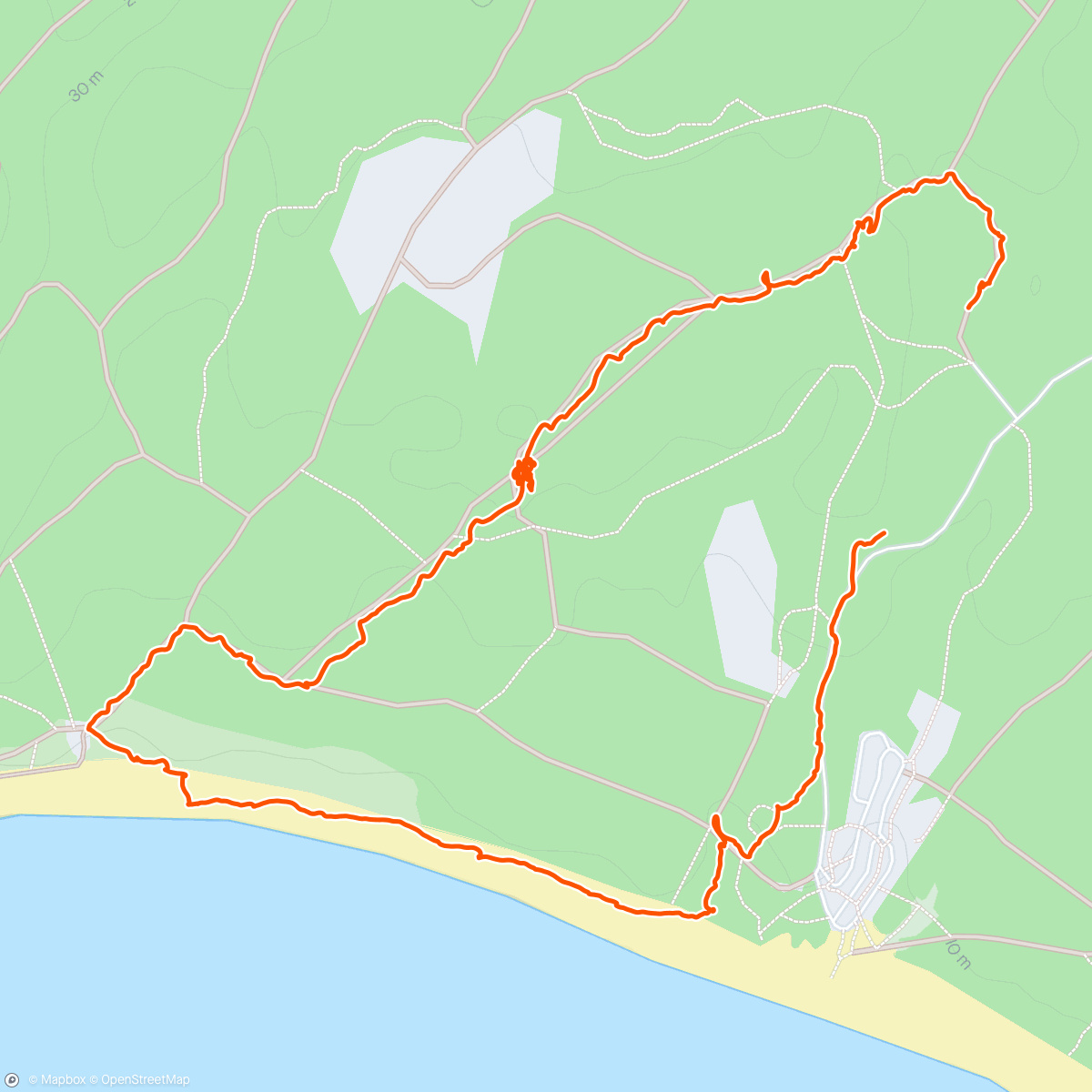 Mapa de la actividad (Newborough Forrest / Beach Walk)