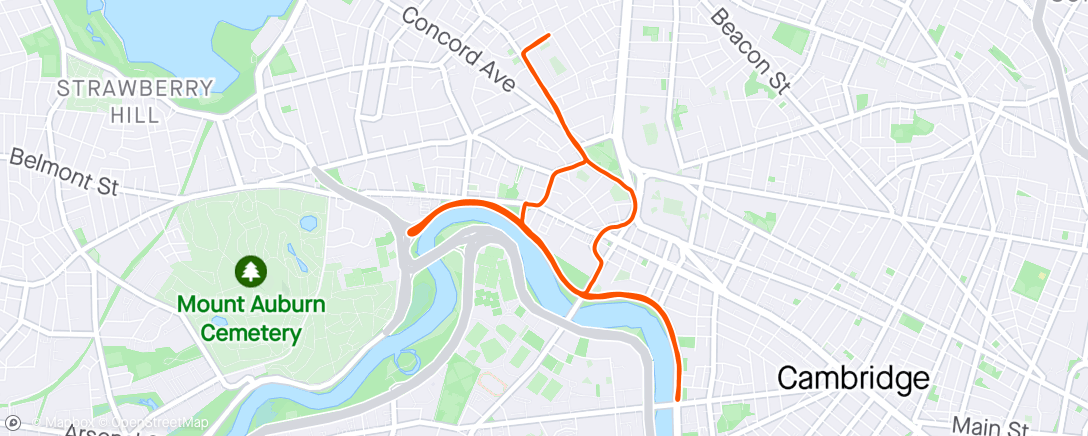 Map of the activity, Car free laps along the Charles