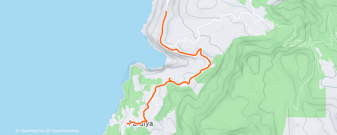 Map of the activity, Утренний забег