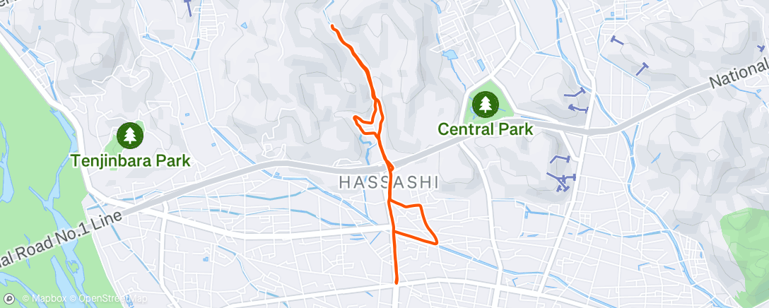 Map of the activity, Afternoon Run
