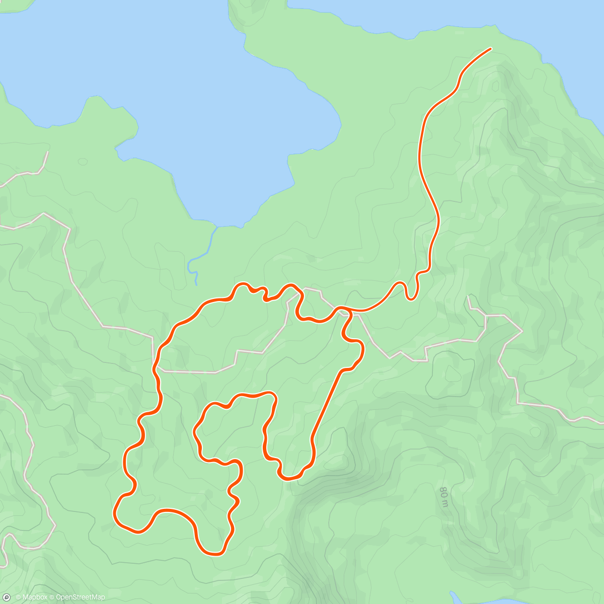 Map of the activity, This was not part of the plan
