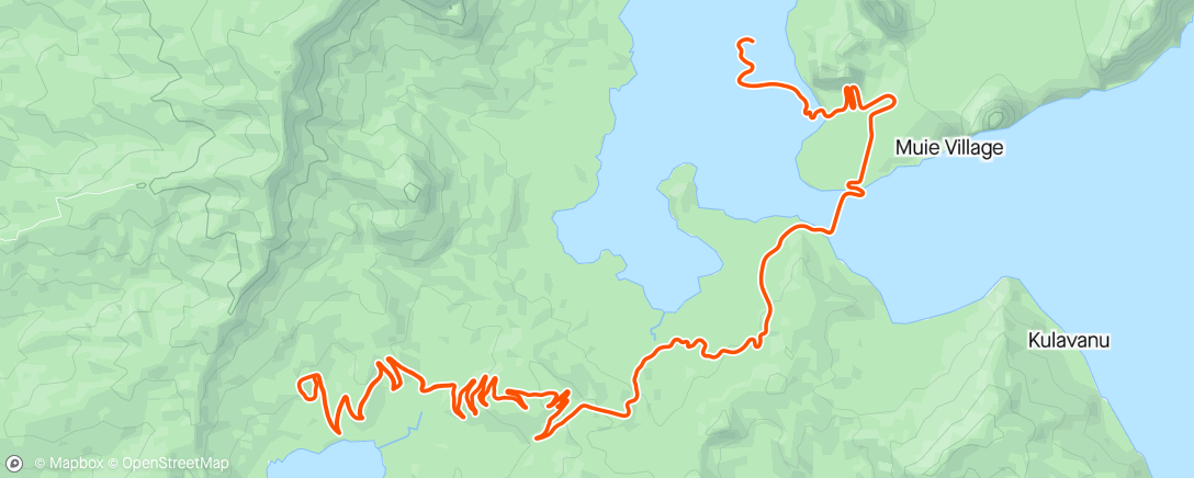 Map of the activity, Zwift - FTP and sweetspot blocks x 4