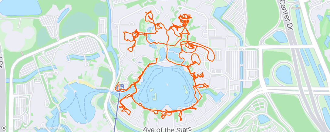 Map of the activity, Epcot, walk and rides
