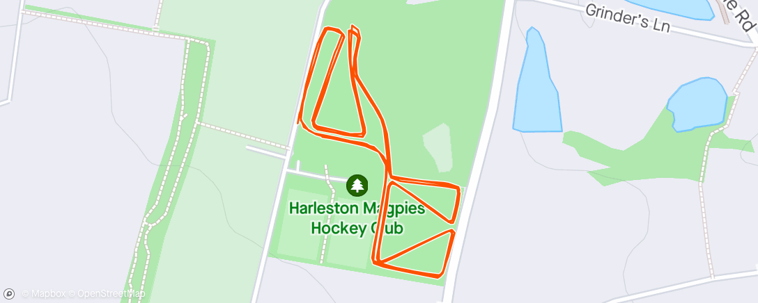 Map of the activity, Harleston Magpies Parkrun (Parkrun 265)