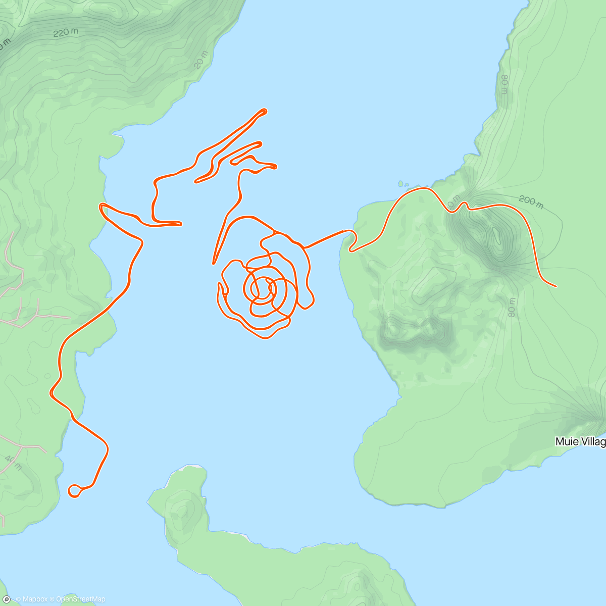 Map of the activity, Zwift - Un Ordino a ritmo