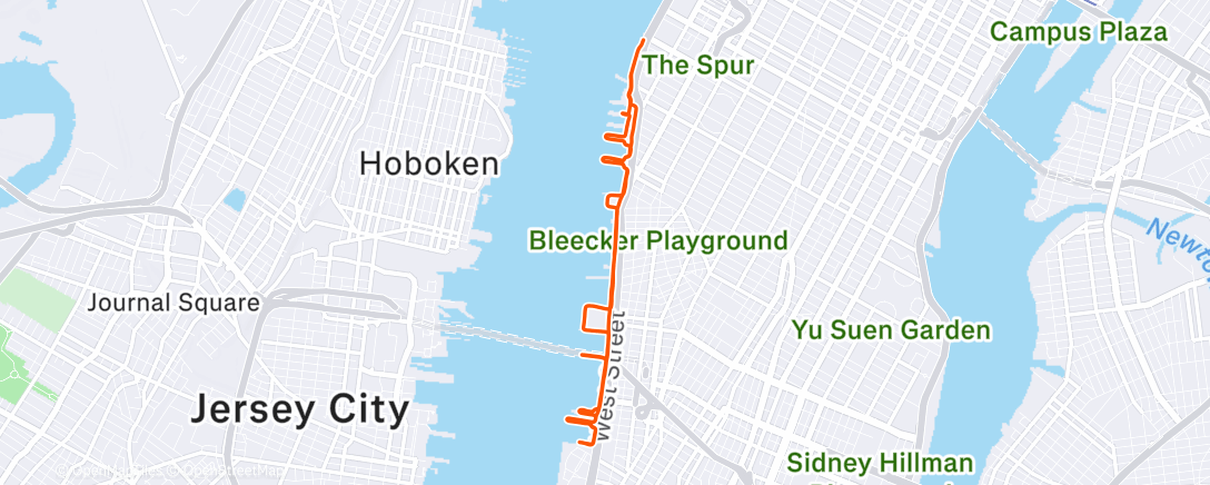 Map of the activity, Evening Run