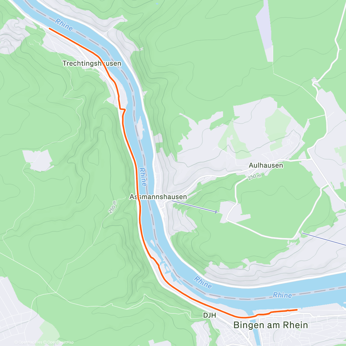 Map of the activity, Merry X-mas 🎄