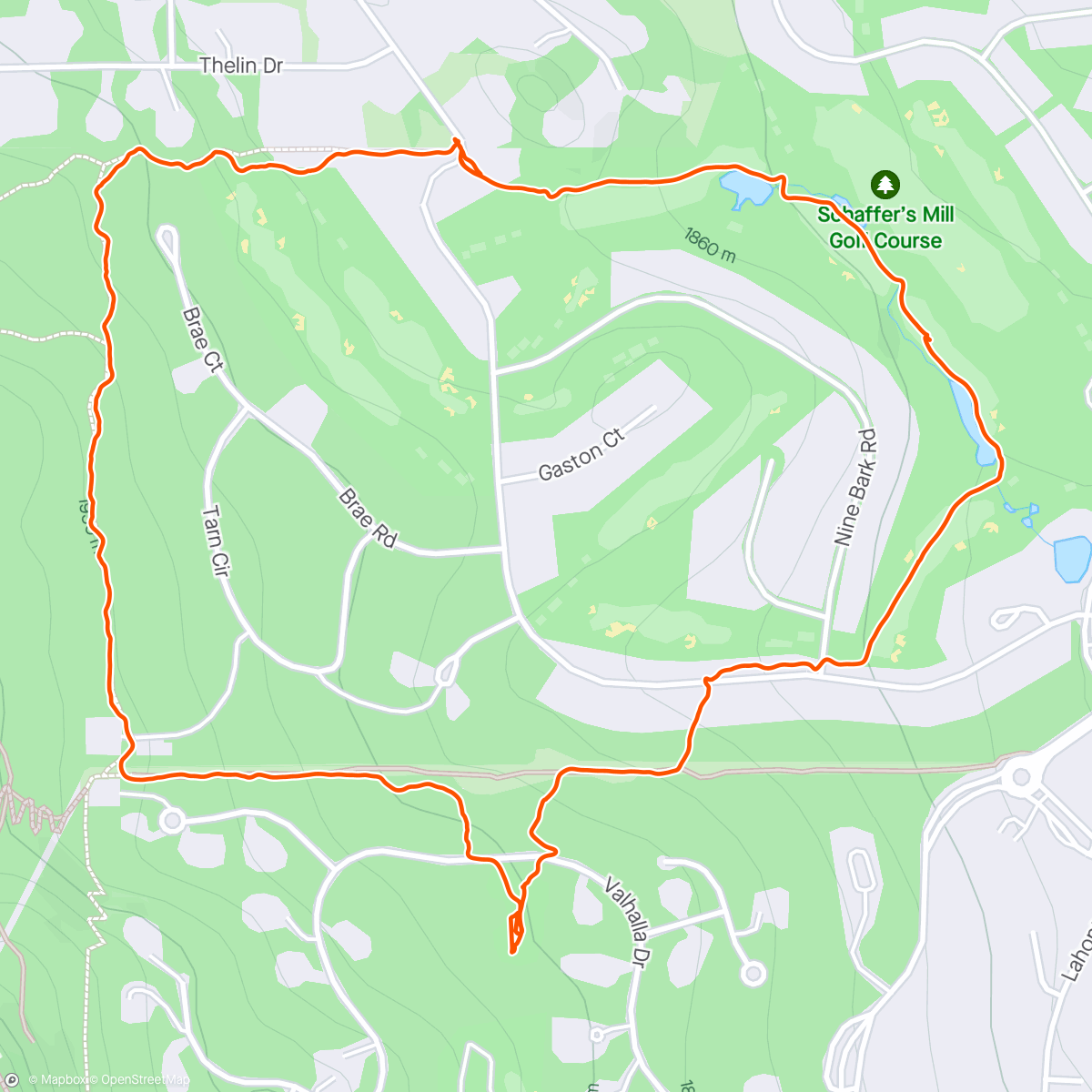 Map of the activity, Bev and Bruno dog jog mostly on snow
