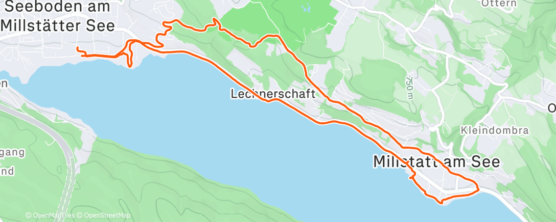 Mapa de la actividad (Neujahrsspaziergang am See mit Geistervertreibung)