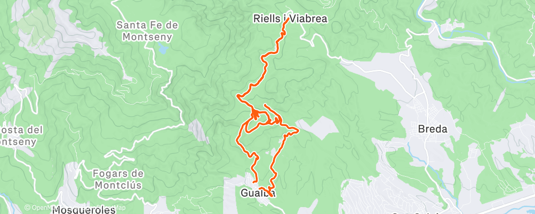 Карта физической активности (Afternoon Trail Run)