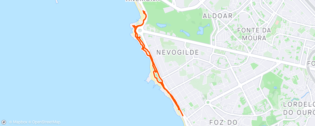 Map of the activity, Cache collecting Porto boulevard