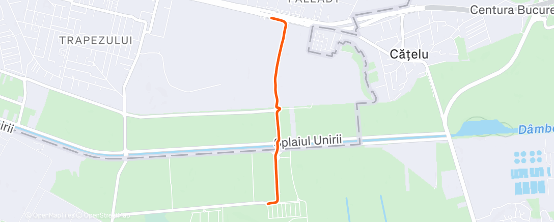 Карта физической активности (Evening Walk)