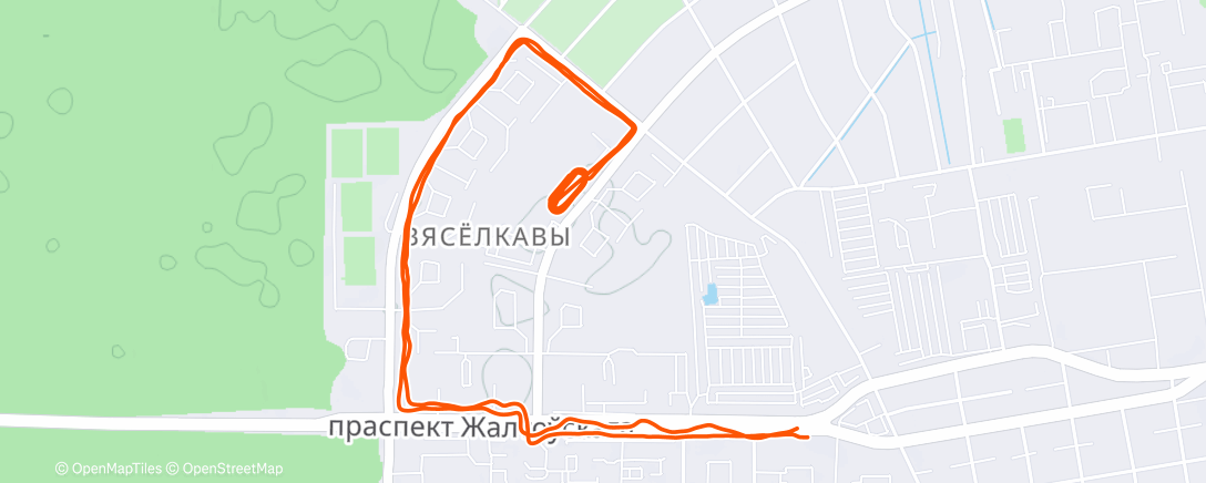 Map of the activity, Дневной забег