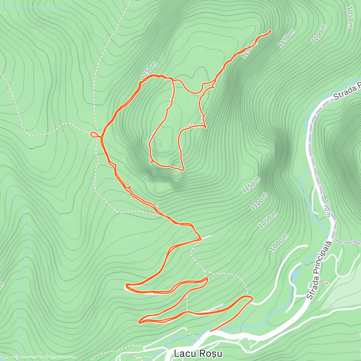 Карта физической активности (Suhardu Mic)