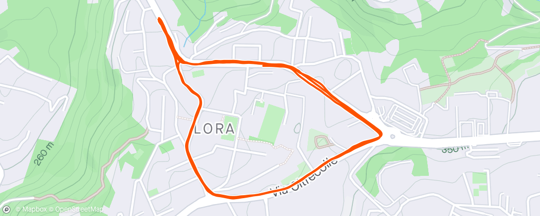 Карта физической активности (Lora Lora Como loops)