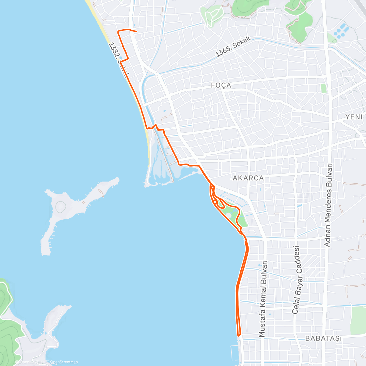 Карта физической активности (Morning Run)