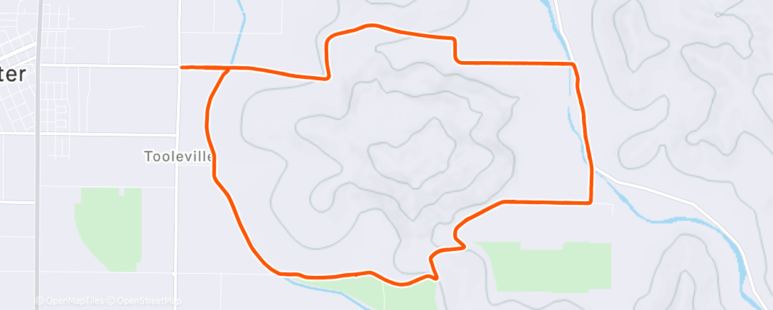 Map of the activity, RocC circuit dbl