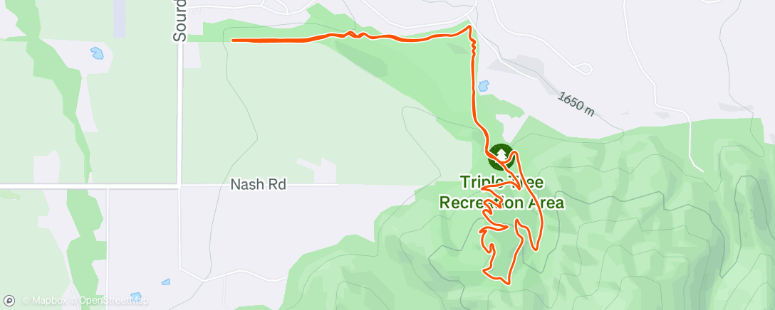 Map of the activity, Triple 🌳