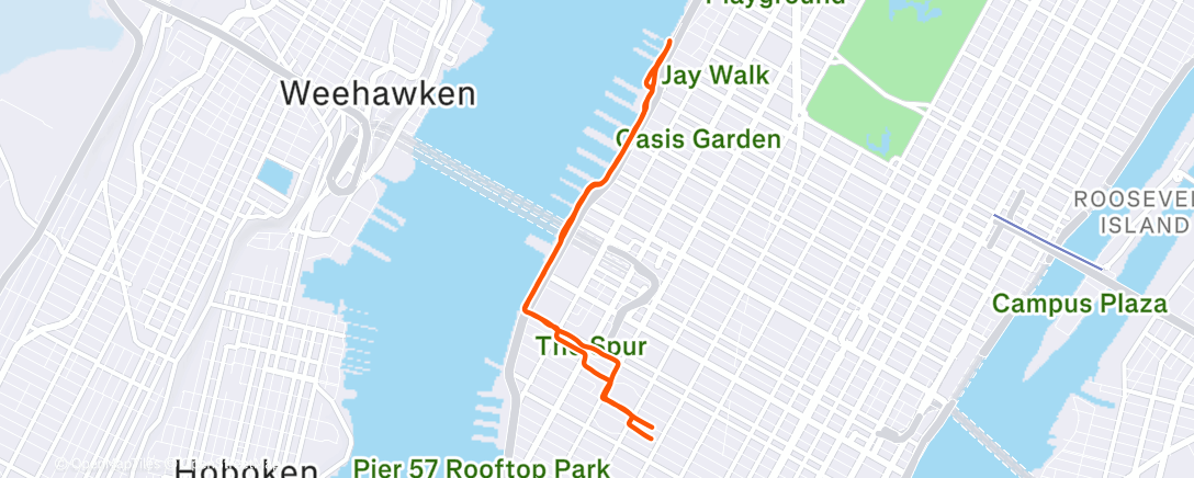Map of the activity, Morning Run