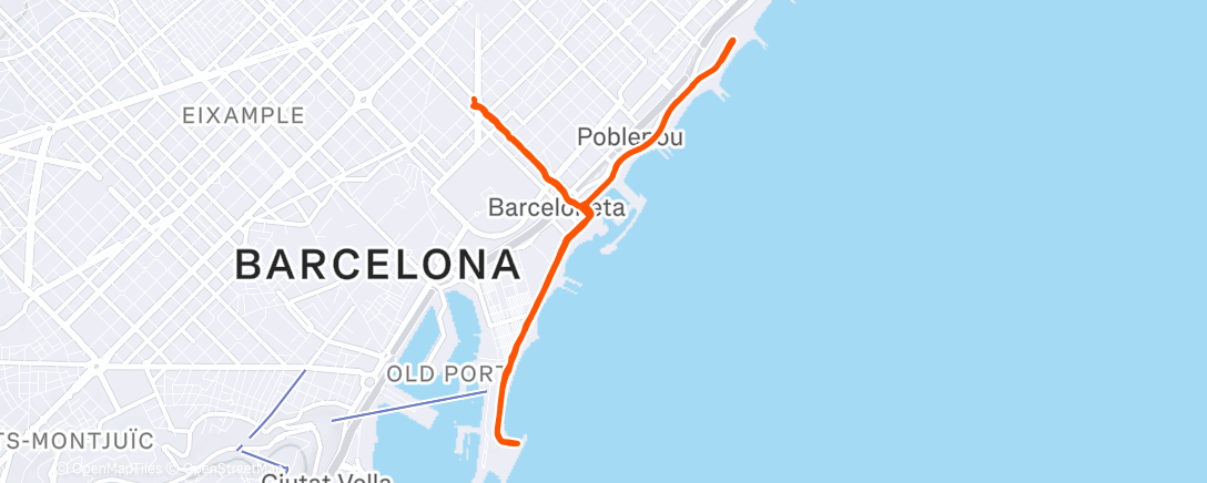 Map of the activity, Evening Run