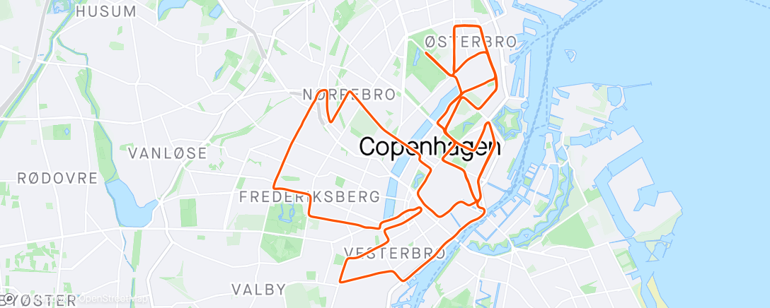 Mapa de la actividad, Copenhagen Marathon