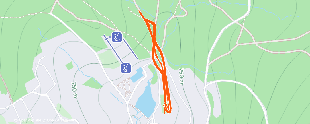 Карта физической активности (Afternoon Nordic Ski)