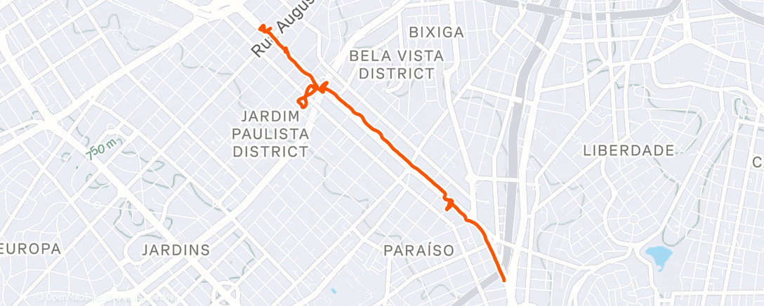 Map of the activity, Sao Paulo - Paulista Avenue