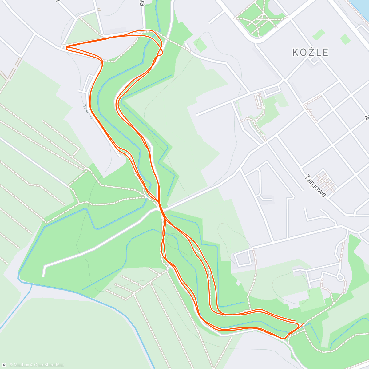 Map of the activity, Parkrun 155
