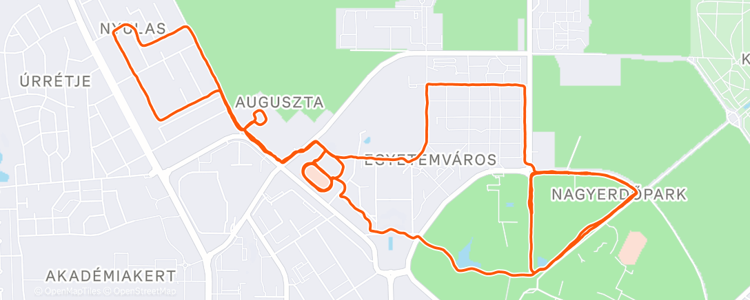 Карта физической активности (Maraton 50. edzés (-12/1. futás) 🌨️🥶)