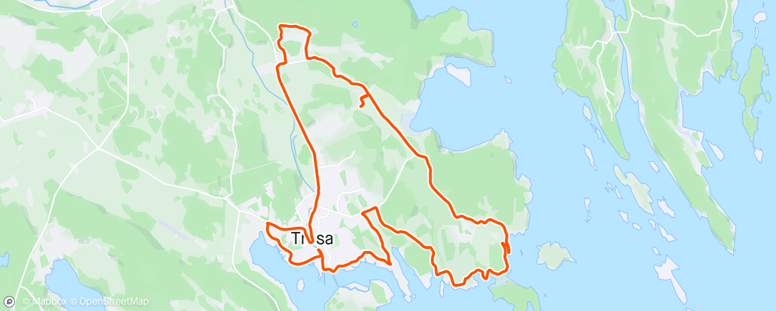 Карта физической активности (Long run with fast finish)